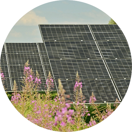 Solarpark